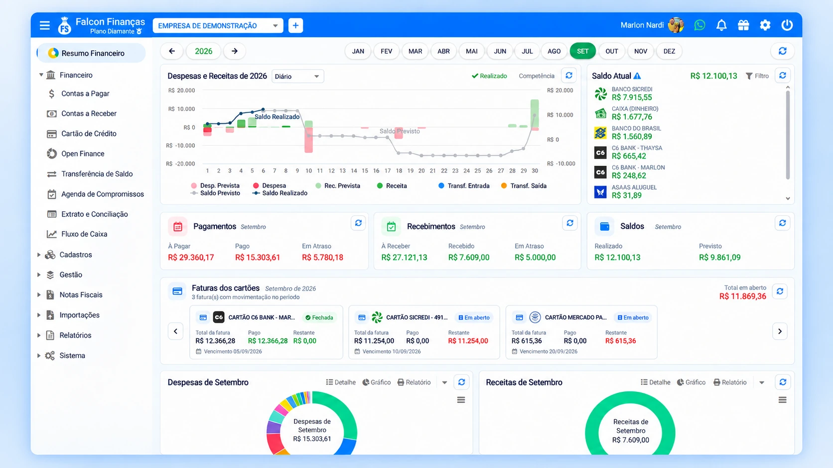 Painel real do Falcon Finanças com controle financeiro empresarial, saldos, contas e cartões