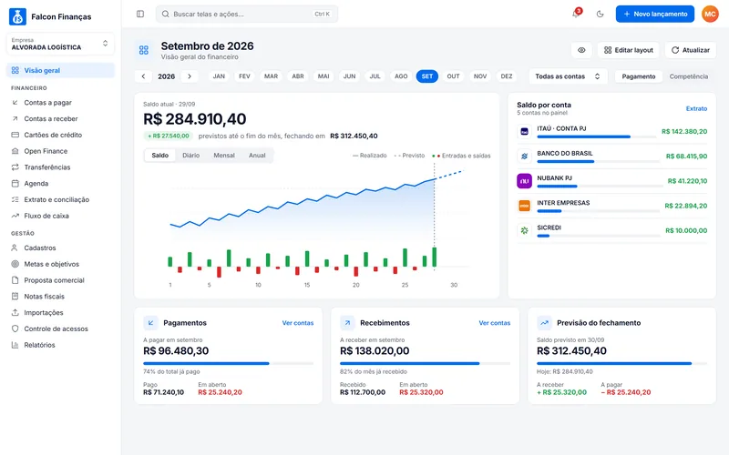 Visão geral do financeiro no Falcon Finanças 3.0 (dados de demonstração)